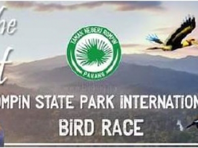 ROMPIN STATE PARK BIRD RACE - SEPTEMBER, 2023