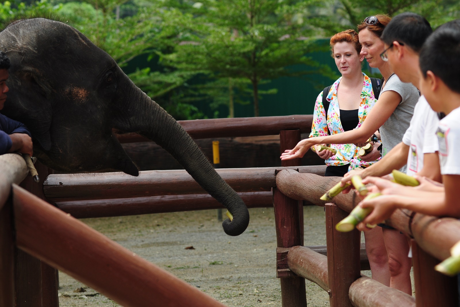 KG2 - Intip Destinasi Wisata di Malaysia Bagi Penyayang Binatang